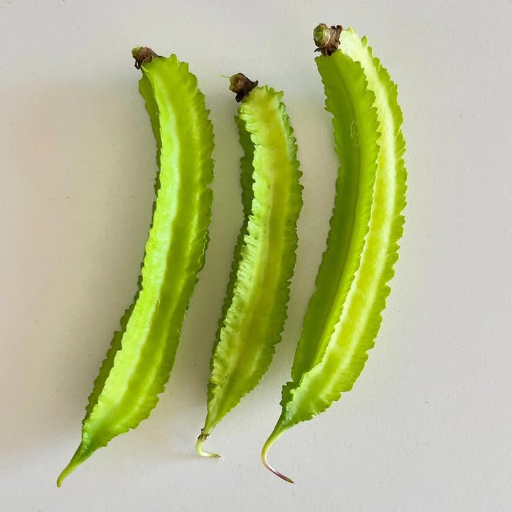 Green Winged Bean Seeds – Heirloom, Non-GMO, High Germination, Organic Garden Seeds