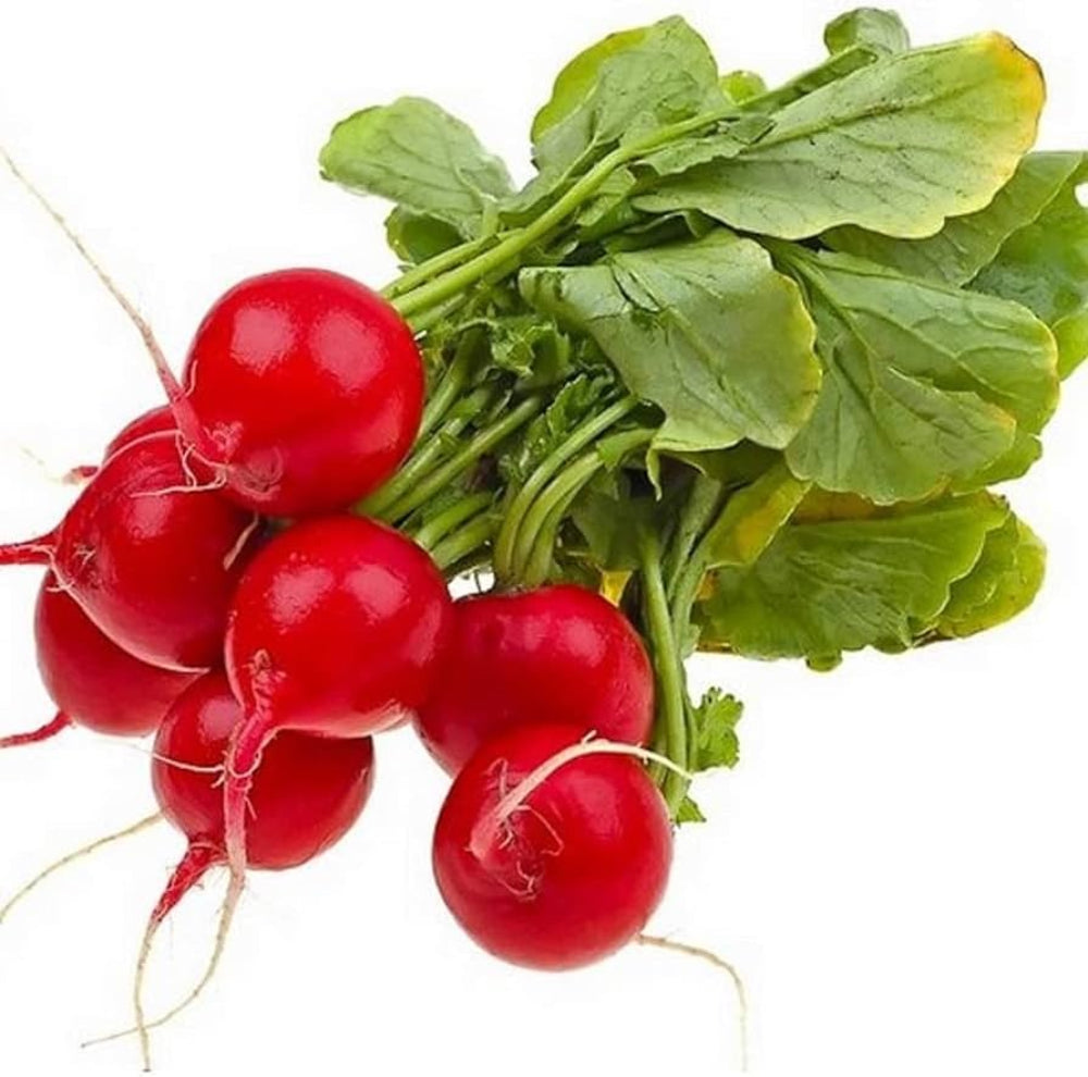 heirloom scarlet flower seeds