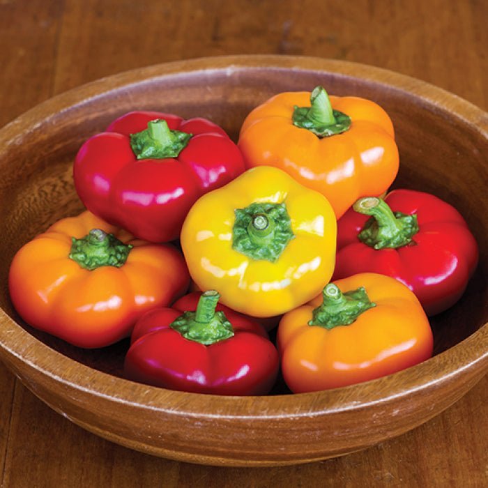 hungarian tomato flower seeds