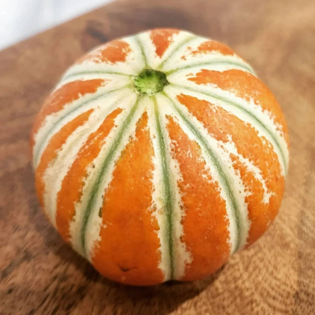 White Kajari Melon Seeds for Planting – Heirloom Non-GMO High Germination Organic Garden Seeds
