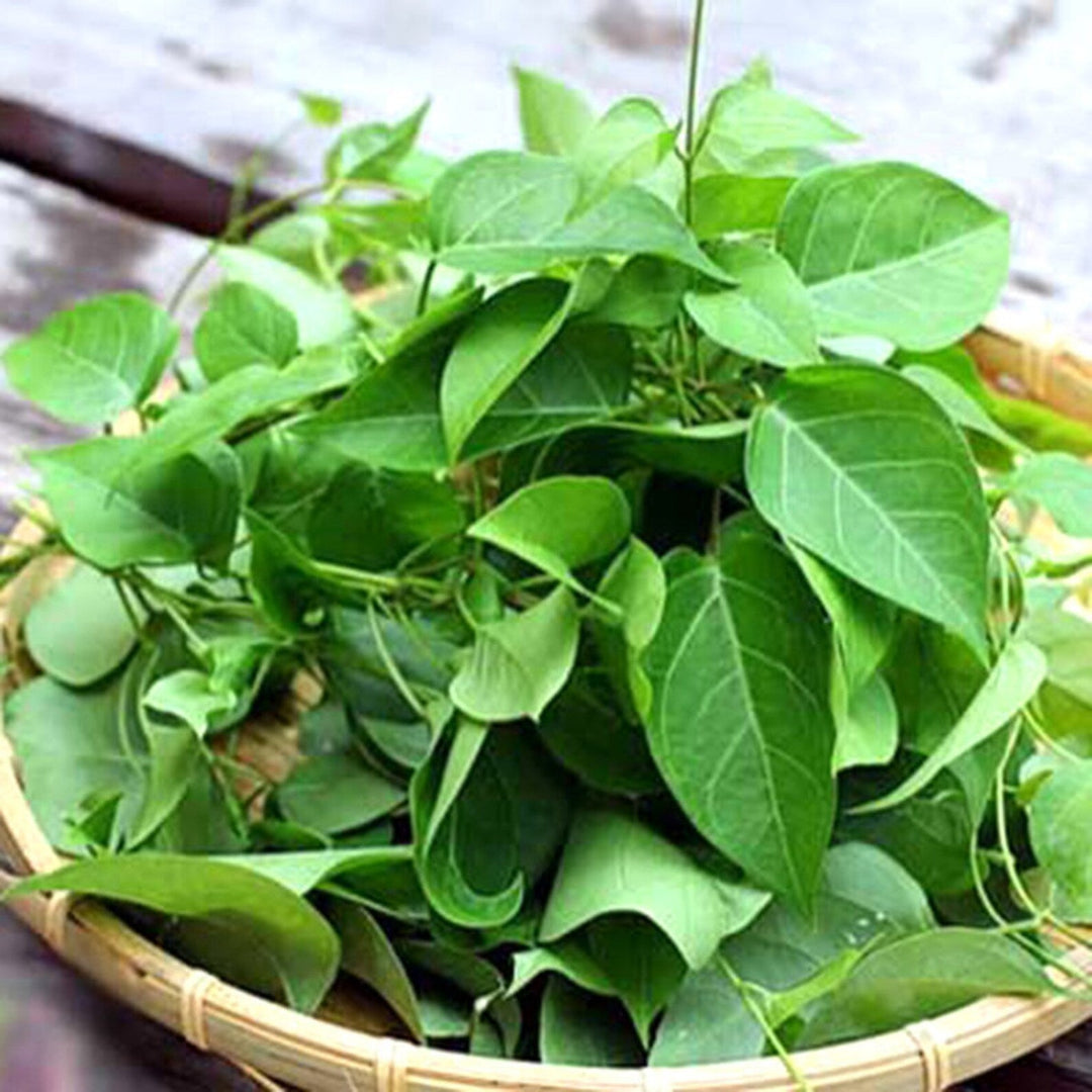 river leaf flower seeds