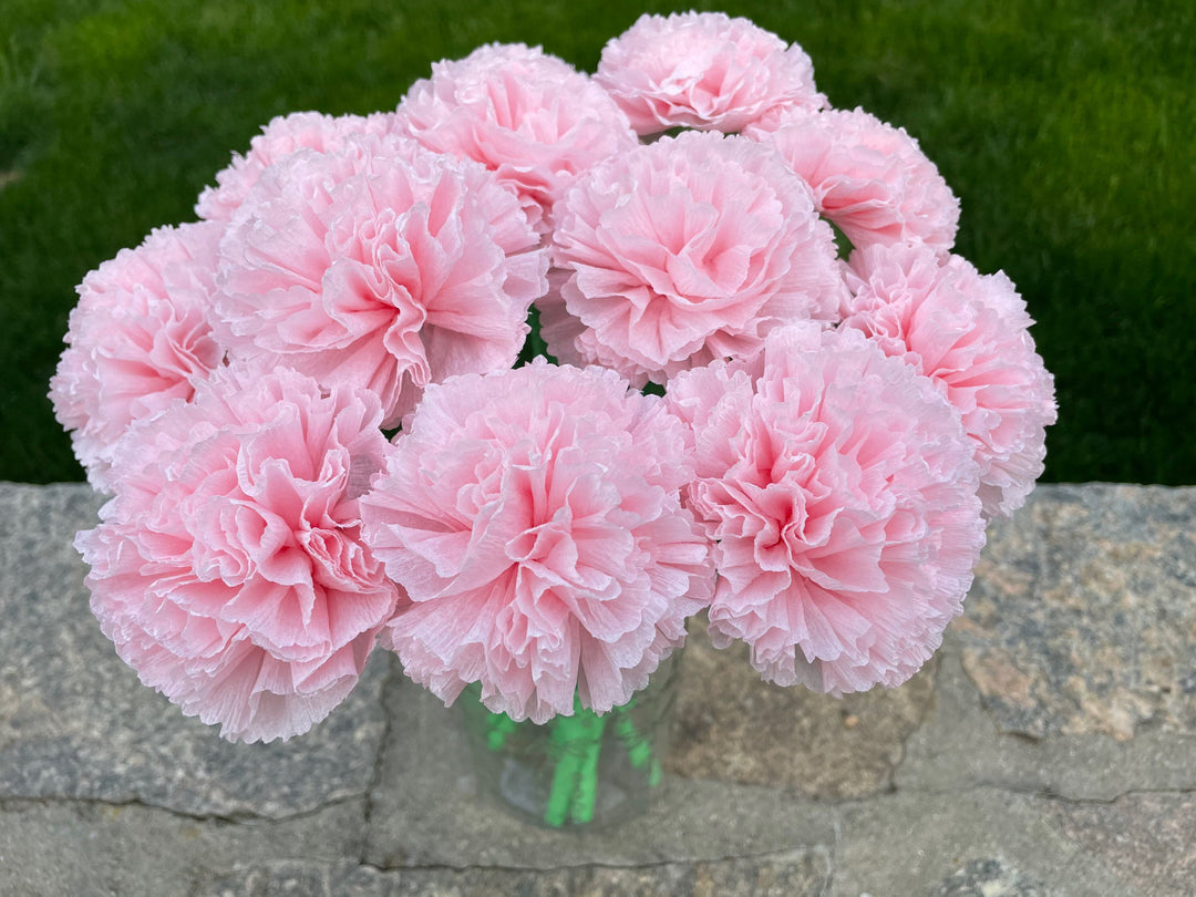 Pale Pink Carnation Flower Seeds – Heirloom, Non-GMO, High Germination, Organic