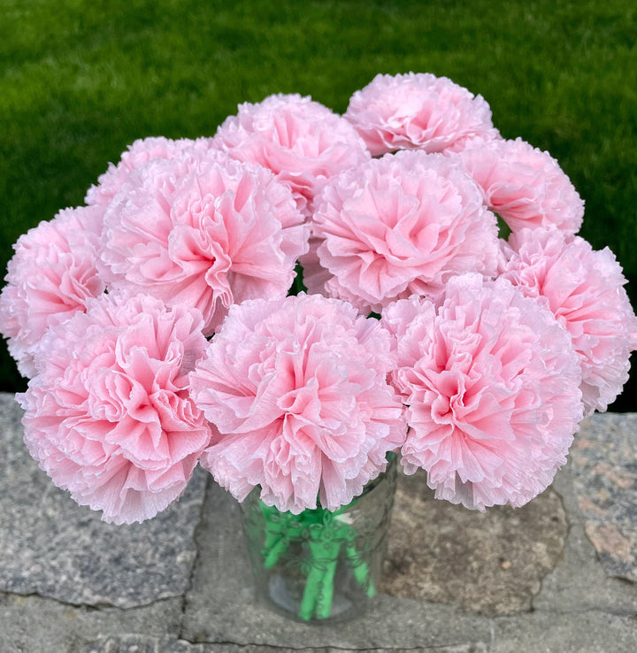 Pale Pink Carnation Flower Seeds – Heirloom, Non-GMO, High Germination Seeds