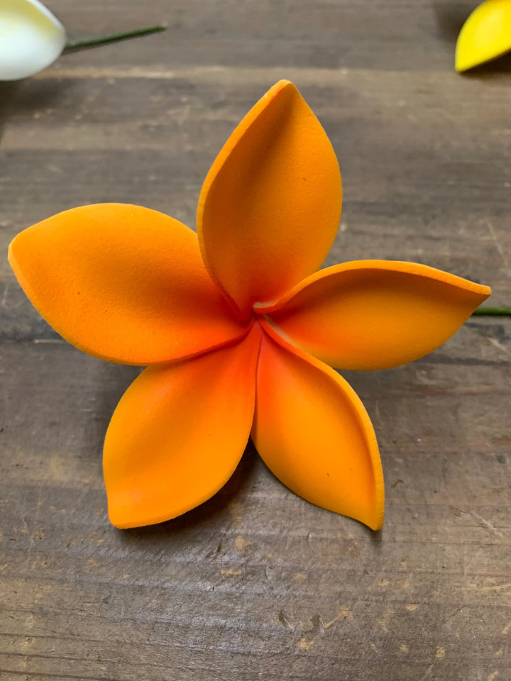 Orange Plumeria Flower Seeds – Heirloom, Non-GMO, High Germination Seeds