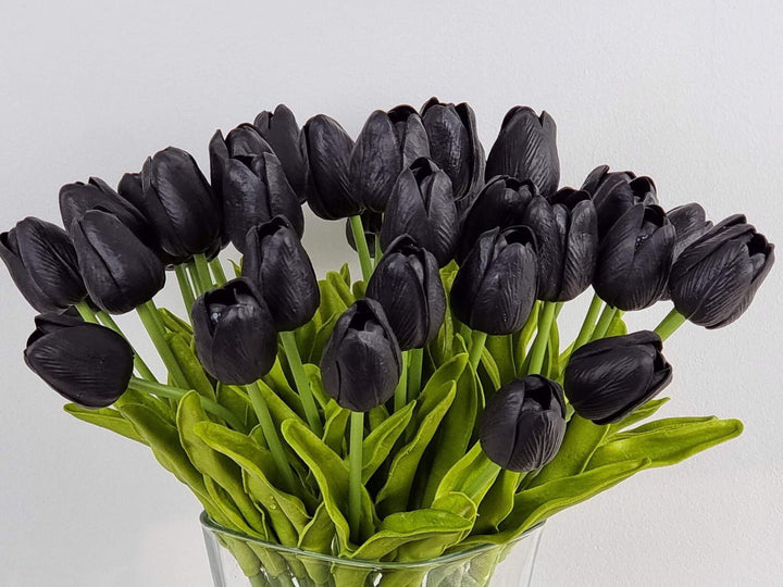 Black Tulip Flower Seeds for Planting – Heirloom Non-GMO High Germination Seeds
