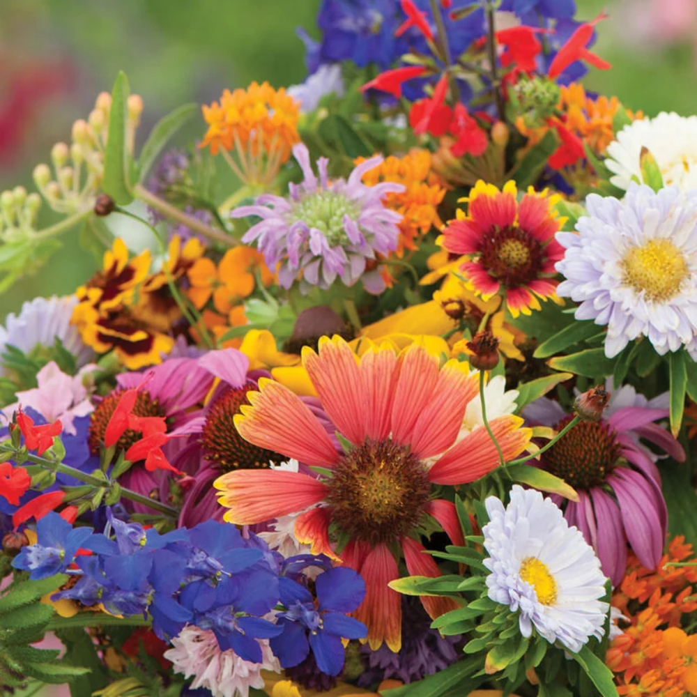flower mix flower seeds