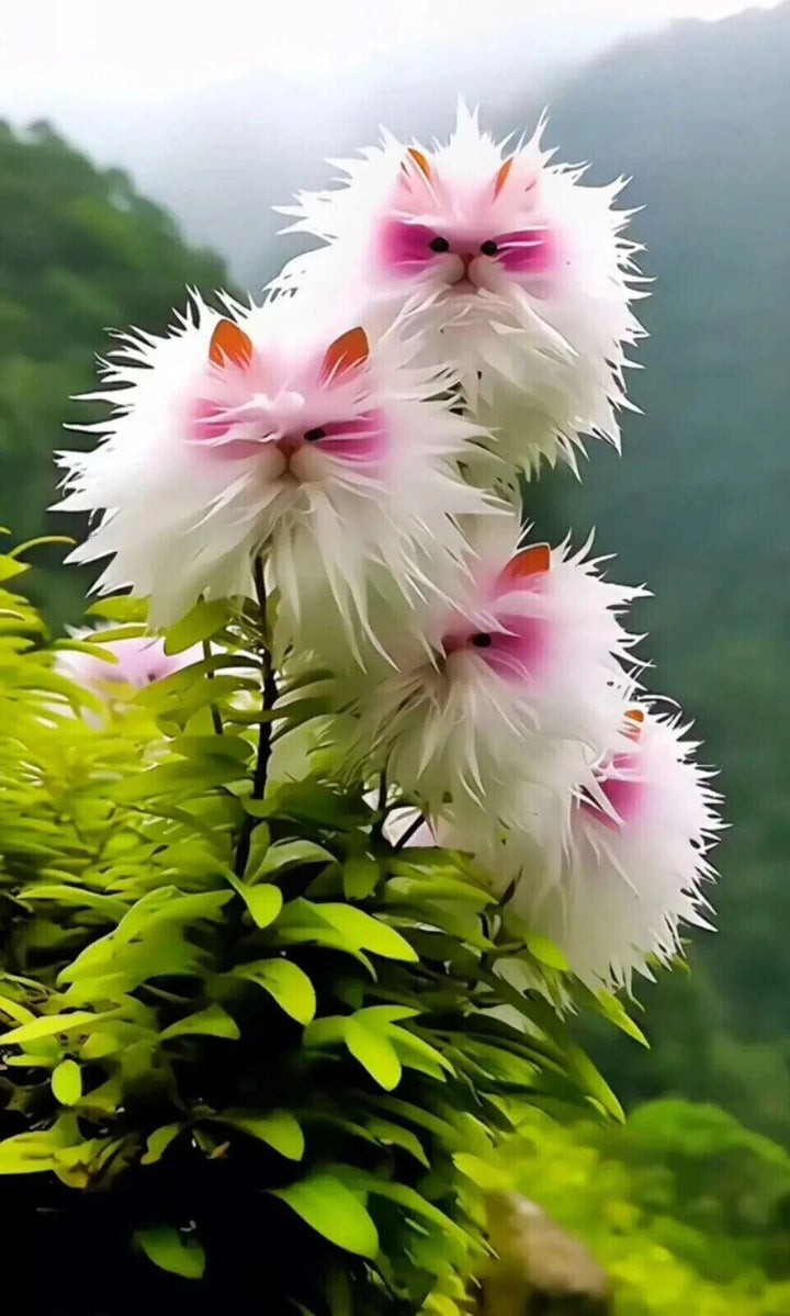 Cute Pink Cat&