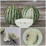 White Watermelon Fruit Seeds for Planting Heirloom Non-GMO High Germination Organic Garden Seeds