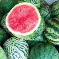 Mixed Watermelon Fruit Seeds – Heirloom, Non-GMO, High Germination Organic Garden