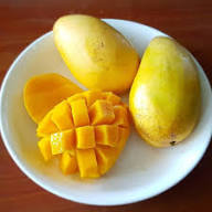 Ataulfo Mango Fruit Seeds for Planting Heirloom Non-GMO High Germination Organic Garden Seeds