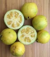 Rare Yellow Strawberry Guava Fruit Seeds for Planting – Heirloom High Germination Non-GMO Organic Garden Seeds Seeds for Planting