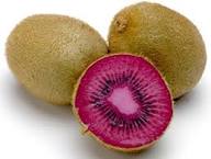 Ruby Red Kiwi Fruit Seeds for Planting – Heirloom Non-GMO High Germination Organic Garden Seeds