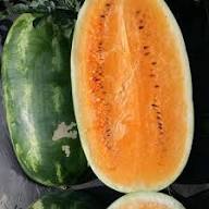 Tendersweet Orange Watermelon Fruit Seeds for Planting – Heirloom Non-GMO High Germination Organic Garden Seeds