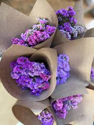 Statice Flower Seeds Purple Heirloom Non-GMO High Germination Organic Garden Seeds for Planting