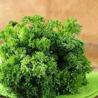 Parsley Plant Seeds Green Heirloom Non-GMO High Germination Organic Garden Seeds for Planting
