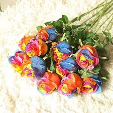rainbow rose flower seeds