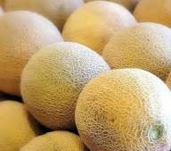Honey Rock Cantaloupe Aas Prize Winning Sweet Melon Heirloom Non Gmo High Germination Organic
