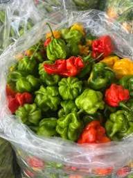 Mixed Pimento Pepper Seeds Heirloom Non-GMO High Germination Organic Garden Seeds for Planting