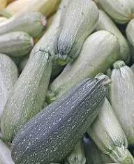 Sicilian Zucchini Seeds – Heirloom, Non-GMO, High Germination Organic Vegetable Garden Seeds