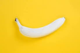 White Banana Fruit Seeds for Planting – Heirloom Non-GMO High Germination Organic Garden Seeds for Sweet Exotic Bananas