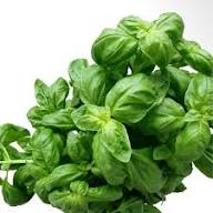 Organic Basil Plant Seeds Heirloom Non-GMO High Germination Organic Garden Seeds for Planting