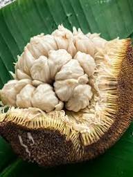 White Marang Seeds Heirloom Non-GMO High Germination Organic Garden Seeds for Planting