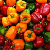 Mixed Capsicum Seeds – Heirloom, Non-GMO, High Germination Organic Garden Seeds Planting
