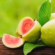 Green Psidium Seeds – Heirloom, Non-GMO, High Germination Organic Garden Seeds for Planting