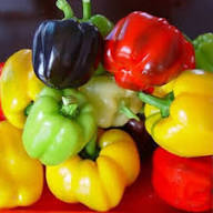 Mixed Hot Pepper Seeds Heirloom Non-GMO High Germination Organic Garden Seeds for Planting