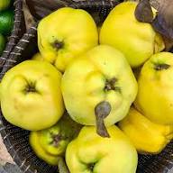 Quince Fruit Seeds Green Heirloom Non-GMO High Germination Organic Garden Seeds for Planting