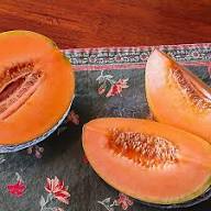 Melon Lesya Fruit Seeds for Planting – Heirloom, Non-GMO, High Germination Organic Garden Seeds for Sweet, Juicy Melons