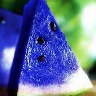 Blue Watermelon Fruit Seeds for Planting – Heirloom Non-GMO High Germination Organic Garden Seeds | Seeds for Planting