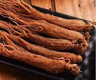 Mixed Ginseng Seeds – Heirloom, Non-GMO, High Germination Organic Garden