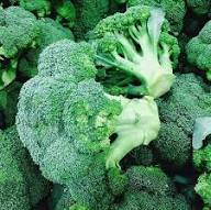 Green Broccoli Seeds – Heirloom Non-GMO High Germination Organic Garden Seeds