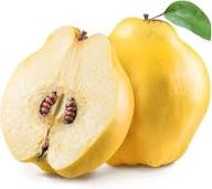 Quince Seeds Heirloom Non-GMO High Germination Organic Garden Seeds for Planting