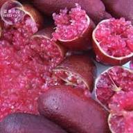 Mixed Caviar Fruit Seeds – Heirloom, Non-GMO, High Germination Organic Garden Seeds