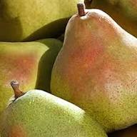 Cream Pear Seeds Heirloom Non-GMO High Germination Organic Garden Seeds for Planting