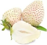Strawberry Seeds White – Heirloom, Non-GMO, High Germination Organic Garden Seeds for Planting