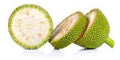 Artocarpus Breadfruit altilis Seeds for Planting – Heirloom Non-GMO High Germination Organic Tropical Fruit Tree Seeds