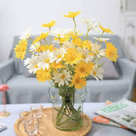 Yellow White Chamomile Flower Seeds for Planting | Heirloom Non-GMO Organic