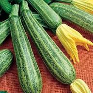 Green Zebra Hybrid Zucchini Seeds – Heirloom Non-GMO Organic High Germination Garden Seeds for Planting