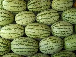 Green Watermelon Plant Seeds Heirloom Non-GMO High Germination Organic Garden Seeds for Planting