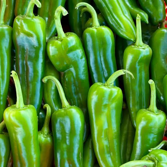 Anaheim Pepper Misticanza heirloom non-GMO vegetable seeds for planting in a home garden producing healthy green peppers.