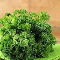 Perennial Parsley Plant Seeds Heirloom Non-GMO High Germination Organic Garden Seeds