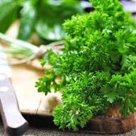 Parsley Vegetable Seeds Heirloom Non-GMO High Germination Organic Garden Seeds for Planting