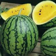 Yellow Watermelon Flower Seeds for Planting | Heirloom Non-GMO Organic