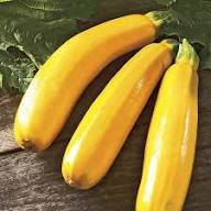 Zucchini Seeds – Heirloom Non-GMO High Germination Organic Garden Seeds