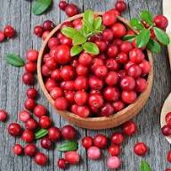 Partridge Berry Seeds Heirloom Non-GMO High Germination Organic Garden Seeds for Planting
