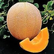 Honey Rock Cantaloupe Aas Prize Winning Sweet Melon Heirloom Non Gmo High Germination Organic