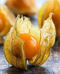 Yellow Alkekengi Seeds Heirloom Non-GMO High Germination Organic Garden Seeds for Planting